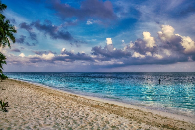 The Maldives